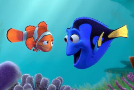 marin & dory