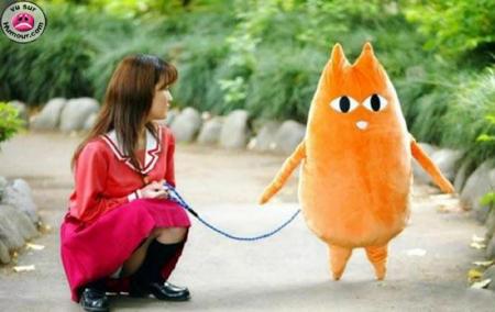 animale de compagnie